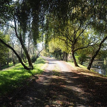 La Marviniere Saint-Bonnet-sur-Gironde Exterior foto